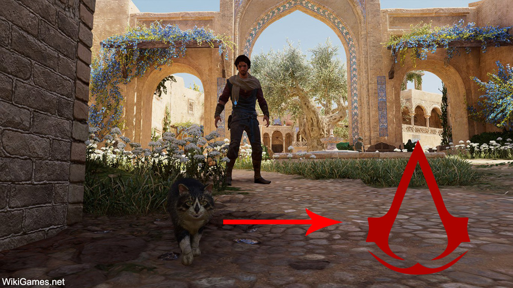 Easter Eggs in Assassin's Creed Mirage - Assassin insignia on Cats