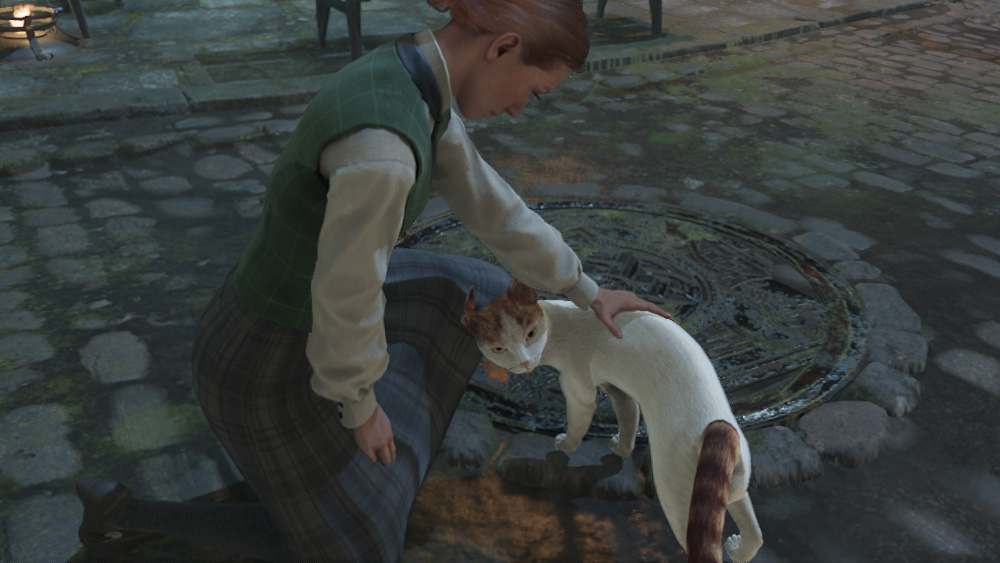 Easter Eggs in Hogwarts Legacy - Pet Cats