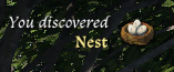 Bird Nest in Kingdom Come: Deliverance 2 - You Discovered Nest