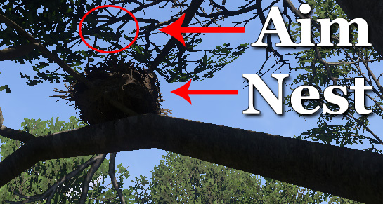 Bird Nest in Kingdom Come: Deliverance 2