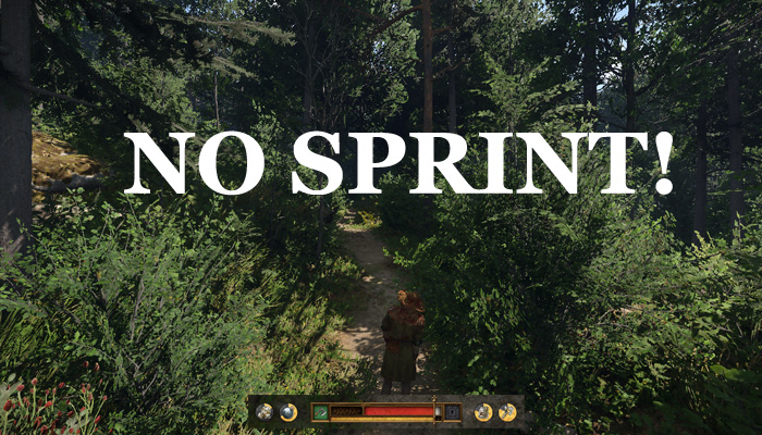 Can't Sprint in Kingdom Come: Deliverance 2