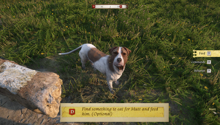 Find something to eat for Mutt and feed him in Kingdom Come: Deliverance 2