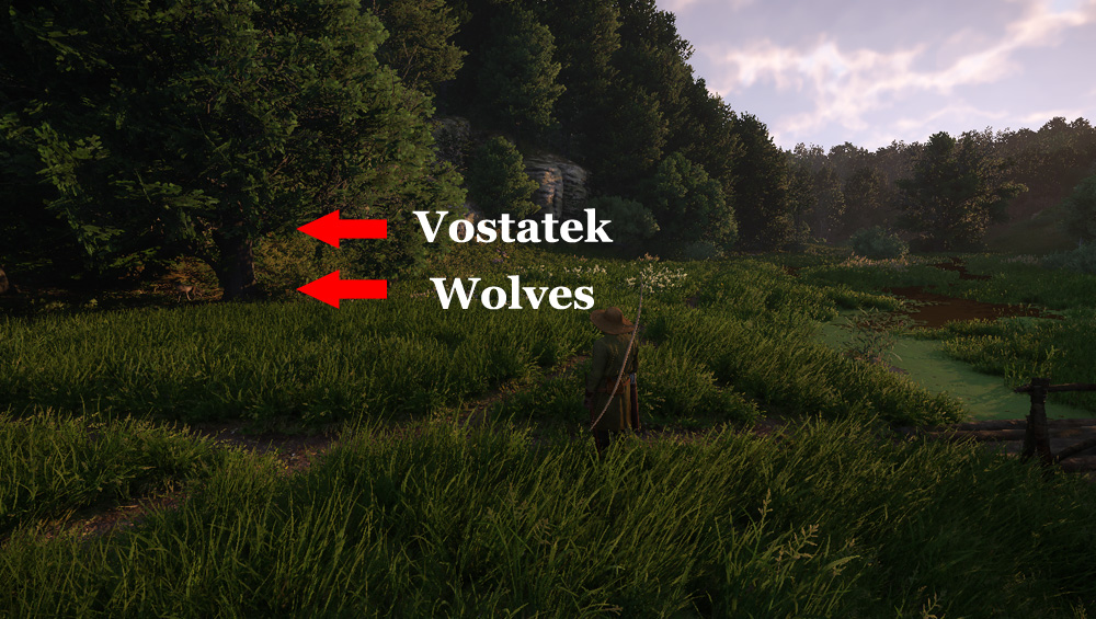 Find the gamekeeper Vostatek in Kingdom Come: Deliverance 2