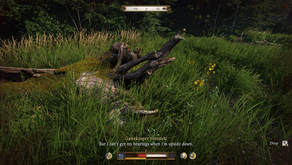 Find the gamekeeper Vostatek in Kingdom Come: Deliverance 2 - Fallen Tree