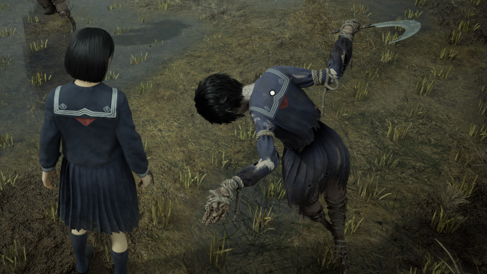 Field Puzzle: Scarecrows in Silent Hill f - Story Mode