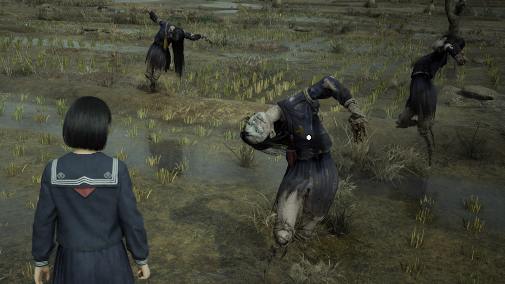 Field Puzzle: Scarecrows in Silent Hill f - Story Mode - 3