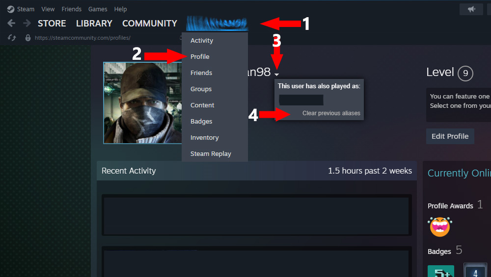 Delete Aliases (Also known as) in Steam - Clear Previous aliases