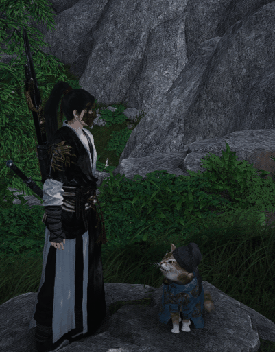 Easter Eggs in Where Winds Meet - Backflip Cat